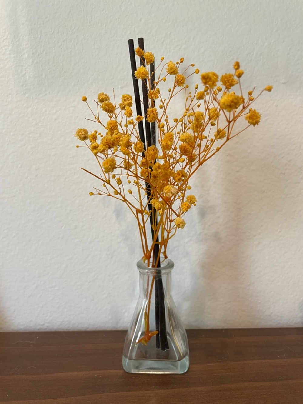 Clear Glass Square Vase - Minimalist Home Accent
